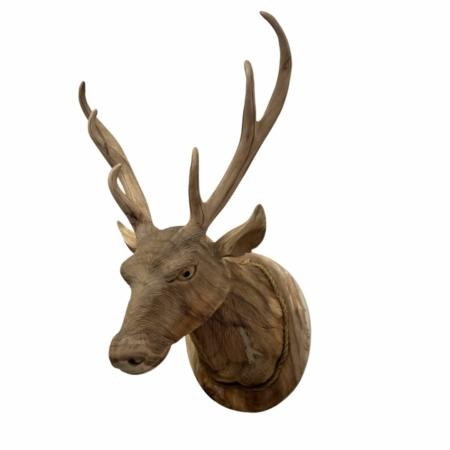 hertenkop voor aan de muur gemaakt van teakhout