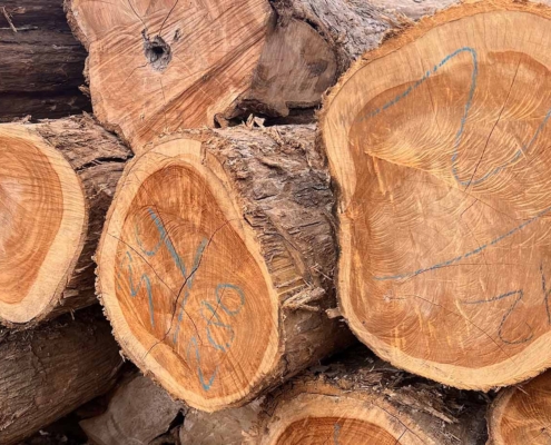 het verhaal van jong teakhout indoteak